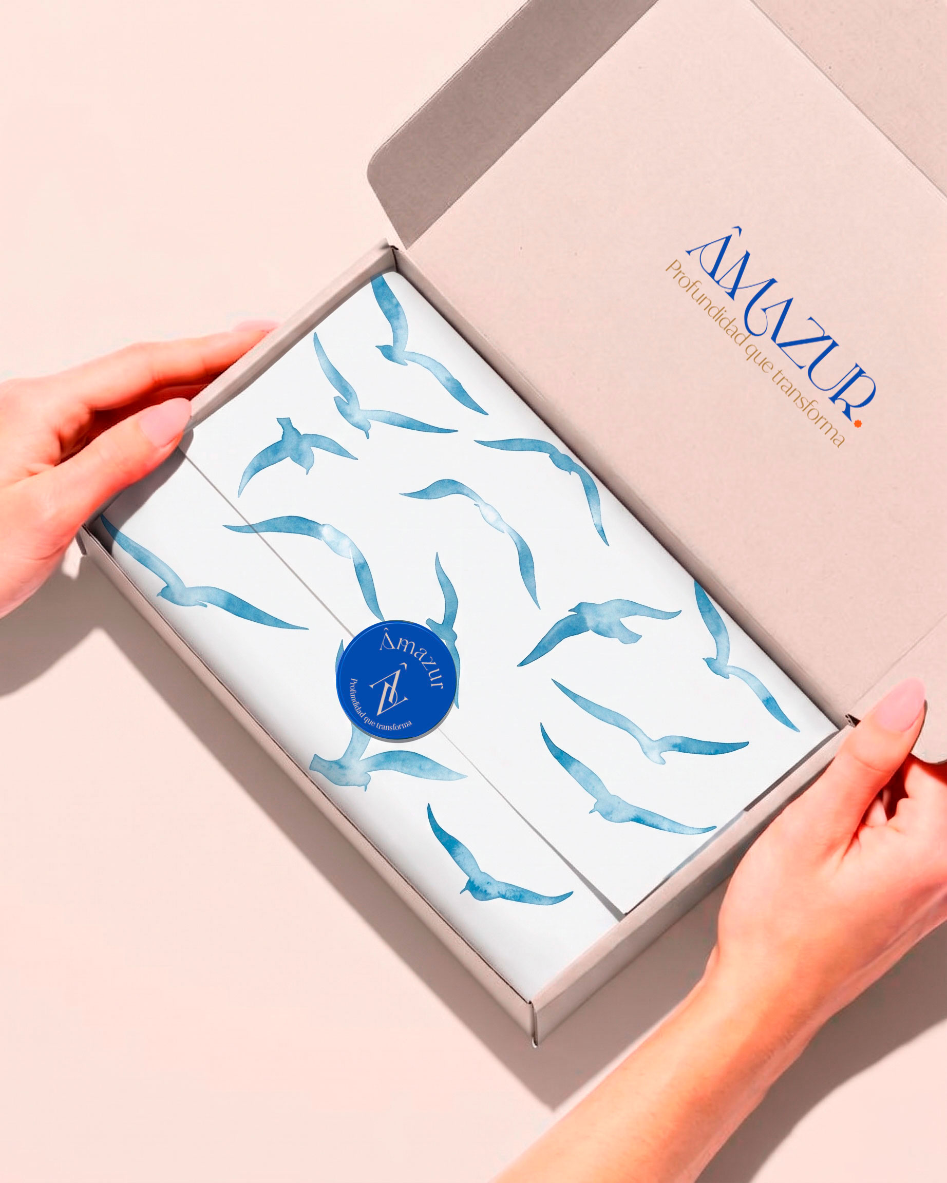 Identidad de marca Amazur diseñada por Noor Design Labs · papelería con paleta azul profundo y terracota